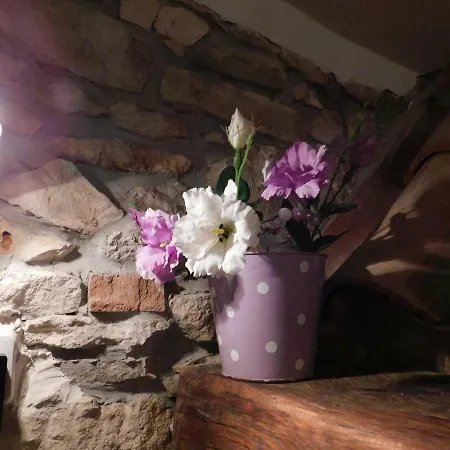 Agnes Apartment